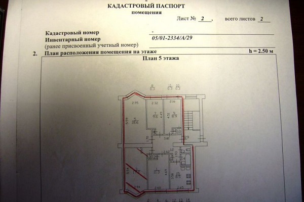 Кадастровый паспорт содержит сведения о расположении и планировке объекта недвижимости
